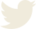 Social media icon: Twitter